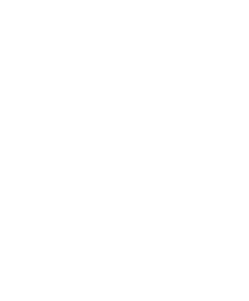 Tau Express